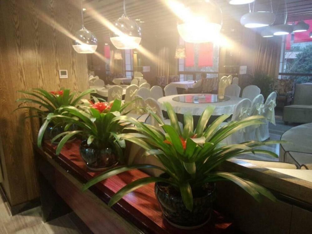 Chengdu Hello Hotel Shuangliu ภายนอก รูปภาพ